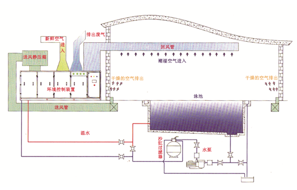 瀚宇水處理：如果做好這些，奧運泳池怎么會“綠”?